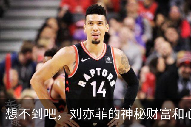 想不到吧，刘亦菲的神秘财富和心底善良，竟然如此惊人！