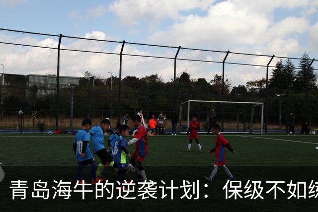 青岛海牛的逆袭计划：保级不如练兵，瞄准明年中甲